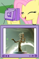 Size: 686x1024 | Tagged: safe, fluttershy, pegasus, pony, cute, exploitable meme, groot, guardians of the galaxy, meme, obligatory pony, spoiler, tv meme