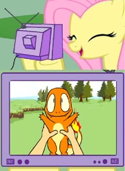 Size: 703x963 | Tagged: safe, fluttershy, pegasus, pony, charmander, cute, exploitable meme, meme, obligatory pony, pokémon, this will end in tears, tv meme, twitch plays pokémon