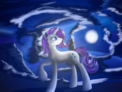 Size: 4000x3000 | Tagged: safe, artist:bluenight01, rarity, pony, unicorn, dark, fisheye, full moon, night, solo