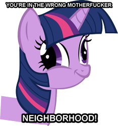 Size: 684x731 | Tagged: safe, artist:jeurobrony, derpibooru import, twilight sparkle, derp, exploitable meme, image macro, simple background, solo, transparent background, twiface, vector, vulgar, wrong neighborhood