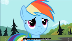 Size: 835x474 | Tagged: safe, derpibooru import, screencap, rainbow dash, pegasus, pony, meme, prank, sad, wat, you had one job, youtube caption