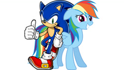 Size: 900x506 | Tagged: artist needed, source needed, useless source url, safe, derpibooru import, rainbow dash, pegasus, pony, copy and paste, crossover, solo, sonic the hedgehog, sonic the hedgehog (series)