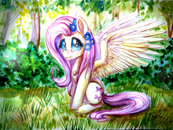 Size: 4608x3456 | Tagged: safe, artist:andyfirelife, fluttershy, pegasus, pony, absurd resolution, flower in hair, painting, sitting, solo, spread wings, traditional art