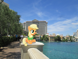 Size: 3200x2400 | Tagged: safe, artist:austinious, artist:missbeigepony, applejack, human, caesar's palace, car, clothes, filly, hotel, irl, las vegas, photo, pond, ponies in real life, shadow, shirt, sidewalk, sitting, solo, vector, water