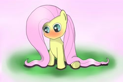 Size: 3840x2560 | Tagged: safe, artist:izelyca, fluttershy, pegasus, pony, blushing, female, mare, solo