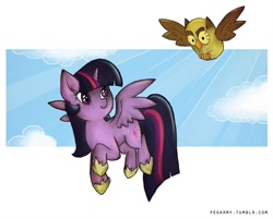 Size: 1000x805 | Tagged: safe, artist:erysz, derpibooru import, owlowiscious, twilight sparkle, twilight sparkle (alicorn), alicorn, pony, cloud, cloudy, female, flying, mare