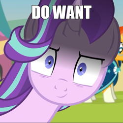 Size: 600x599 | Tagged: safe, artist:agrol, edit, edited edit, starlight glimmer, sunburst, pony, >:), caption, close-up, death stare, extreme close up, female, glarelight glimmer, horn, image macro, impact font, inconvenient starlight, inverted mouth, looking at you, male, mare, meme, reaction image, shipping, shrunken pupils, smiling, smirk, snaplight glimmer, stallion, starburst, stare, straight, text, time for two, varying degrees of want, want, yandere, yandere glimmer