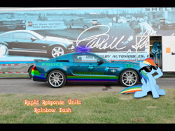 Size: 1920x1440 | Tagged: safe, artist:con360, derpibooru import, rainbow dash, pegasus, pony, car, ford, ford mustang, police car, solo