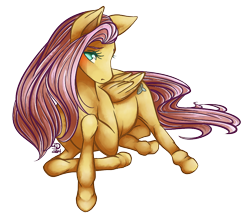 Size: 800x700 | Tagged: safe, artist:teallaquin, fluttershy, horse, pegasus, pony, female, solo, wings