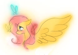 Size: 1024x724 | Tagged: safe, artist:rainbowlover001, fluttershy, pegasus, pony, female, mare, pink mane, solo, yellow coat