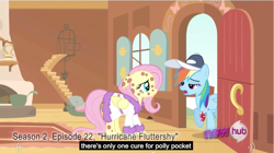 Size: 851x475 | Tagged: safe, derpibooru import, screencap, fluttershy, rainbow dash, pegasus, pony, meme, polly pocket, youtube caption