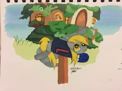 Size: 3264x2448 | Tagged: safe, artist:bleuey, derpy hooves, fluttershy, pegasus, pony, cute, derpy inside a mailbox, female, fluttershy's cottage, mailbox, mare, signature, solo focus, traditional art