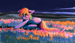 Size: 5000x2869 | Tagged: safe, artist:sharpieboss, derpibooru import, rainbow dash, pegasus, pony, field, grass, on side, solo