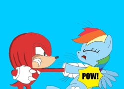 Size: 700x500 | Tagged: safe, artist:hexidextrous, derpibooru import, rainbow dash, pegasus, pony, abuse, crossover, dashabuse, edgy, hate art, hater, knuckles the echidna, sonic the hedgehog (series)