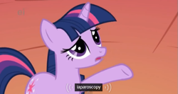 Size: 575x307 | Tagged: safe, derpibooru import, screencap, twilight sparkle, the ticket master, ei, flank, meme, solo, youtube caption