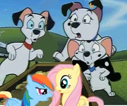 Size: 419x348 | Tagged: safe, artist:fapingmulan, derpibooru import, fluttershy, rainbow dash, pegasus, pony, 101 dalmatians, cadpig, crossover, dalmatian, fear (inside out), lucky, two tone