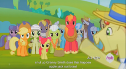 Size: 1395x762 | Tagged: safe, screencap, apple bloom, applejack, big macintosh, cultivar, flim, granny smith, jinx, not coco, earth pony, pony, leap of faith, hub logo, male, meme, stallion, youtube caption