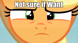 Size: 1280x717 | Tagged: safe, screencap, applejack, earth pony, pony, leap of faith, caption, image macro, meme, not sure if want, reaction image, solo