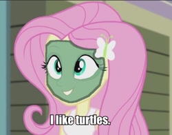 Size: 392x308 | Tagged: safe, screencap, fluttershy, equestria girls, rainbow rocks, 1000 hours in ms paint, i like turtles, image macro, meme, ms paint, solo