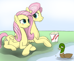 Size: 1488x1222 | Tagged: safe, artist:patch, butterscotch, fluttershy, duck, mallard, pegasus, pony, belly, blushing, colored, female, male, mare, pregnant, rule 63, self ponidox, selfcest, shipping, stallion, straight