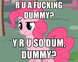 Size: 752x598 | Tagged: safe, pinkie pie, earth pony, pony, image macro, insult, meme, reaction image, vulgar