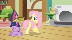 Size: 853x480 | Tagged: safe, derpibooru import, screencap, fluttershy, twilight sparkle, pegasus, pony, magical mystery cure