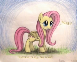 Size: 1003x797 | Tagged: safe, artist:thefriendlyelephant, fluttershy, pegasus, pony, cute, grass, grin, smiling, solo, squee, traditional art