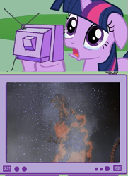 Size: 435x600 | Tagged: safe, artist:ultimatedume1995, derpibooru import, twilight sparkle, kaiju, burning godzilla, death of godzilla, exploitable meme, godzilla, godzilla (series), godzilla vs destoroyah, meme, obligatory pony, sad, tv meme