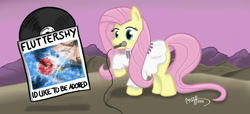 Size: 1472x669 | Tagged: safe, artist:mateusuk, fluttershy, pegasus, pony, album cover, clothes, dress, microphone, mouth hold, record, the stone roses