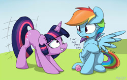 Size: 900x573 | Tagged: dead source, safe, artist:mistydash, derpibooru import, rainbow dash, twilight sparkle, pegasus, pony, unicorn, ball, behaving like a dog, butt shake, dialogue, duo, female, frown, grin, looking at each other, mare, needs more jpeg, nose wrinkle, open mouth, plot, sitting, smiling, spread wings, stupid sexy twilight, tail wag