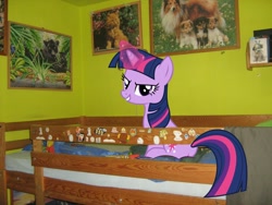 Size: 2592x1944 | Tagged: safe, derpibooru import, twilight sparkle, bed, irl, photo, plot, ponies in real life, solo