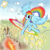 Size: 1000x1000 | Tagged: safe, artist:php15, derpibooru import, rainbow dash, pegasus, pony, solo, sonic rainboom