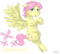 Size: 550x500 | Tagged: safe, artist:prk, butterscotch, fluttershy, pegasus, pony, pixiv, rule 63, solo