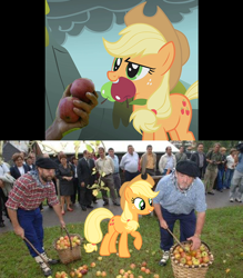 Size: 614x700 | Tagged: safe, applejack, human, apple, comparison, hand, irl, irl human, photo, size chart, size difference, that pony sure does love apples