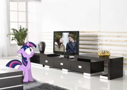 Size: 1129x800 | Tagged: safe, artist:tokkazutara1164, derpibooru import, twilight sparkle, cross-eyed, floppy ears, frown, irl, movie, o.o, photo, ponies in real life, rug, television, twilight (series), vector