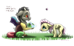 Size: 1280x802 | Tagged: safe, artist:arceus55, discord, fluttershy, butterfly, draconequus, pegasus, pony, blank flank, cheek fluff, cute, daaaaaaaaaaaw, dialogue, discute, duo, duo male and female, female, filly, filly fluttershy, floppy ears, foal, grass, looking at each other, male, profile, shy, shyabetes, signature, simple background, waterfall, white background, wings, young discord, younger