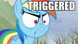 Size: 640x360 | Tagged: safe, derpibooru import, screencap, rainbow dash, pegasus, pony, tanks for the memories, angry, do i look angry, image macro, meme, solo, triggered