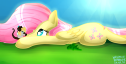 Size: 626x321 | Tagged: safe, artist:mimbyarts, fluttershy, pegasus, pony, female, mare, pink mane, solo, yellow coat