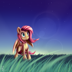 Size: 1500x1500 | Tagged: safe, artist:cottoncole, fluttershy, pegasus, pony, grass, lens flare, solo, stars, sunset