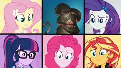 Size: 1280x720 | Tagged: safe, edit, edited screencap, screencap, fluttershy, pinkie pie, rarity, sci-twi, sunset shimmer, twilight sparkle, eqg summertime shorts, equestria girls, get the show on the road, blorg, geode of fauna, one of these things is not like the others, stellaris