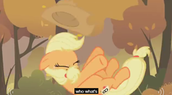 Size: 626x345 | Tagged: safe, screencap, applejack, earth pony, pony, fall weather friends, confused, meme, solo, youtube caption