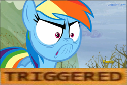 Size: 1366x911 | Tagged: safe, derpibooru import, edit, edited screencap, screencap, rainbow dash, pegasus, pony, tanks for the memories, activism, angry, do i look angry, faic, frown, glare, nose wrinkle, solo, triggered, wide eyes