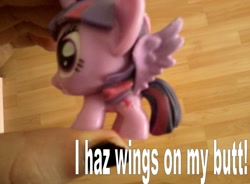 Size: 1600x1176 | Tagged: safe, derpibooru import, twilight sparkle, twilight sparkle (alicorn), alicorn, butt wings, fash'ems, text, toy