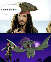 Size: 579x704 | Tagged: safe, fluttershy, bats!, exploitable meme, flutterbat, jack sparrow, meme, pirates of the caribbean, unpopular opinion sparrow