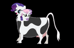 Size: 2653x1741 | Tagged: safe, rarity, sweetie belle, cow, conjoined, conjoined twins, cowbelle, fusion, raricow, sisters, species swap, spell gone wrong, two heads, udder, we have become one, why