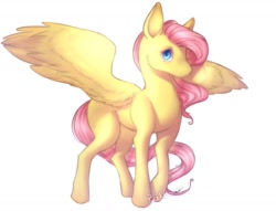 Size: 1280x979 | Tagged: safe, artist:pixelannex, fluttershy, pegasus, pony, simple background, solo, spread wings