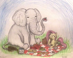 Size: 1002x798 | Tagged: safe, artist:thefriendlyelephant, fluttershy, oc, oc:obi, elephant, pegasus, pony, :t, african bush elephant, apple, bucket, cake, carrot, cute, duo, eating, eyes closed, female, genius bruiser, gentle giant, grass, h2o, hay, heartwarming, herbivore, honourable elephant, if only, lightning bruiser, mare, picnic, picnic basket, picnic blanket, primal, sandwich, sitting, smiling, sweet dreams fuel, tea, tea kettle, teacup, traditional art, tusk, water