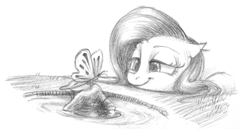 Size: 1322x722 | Tagged: safe, artist:erudier, fluttershy, butterfly, pegasus, pony, doodle, monochrome, sketch, solo