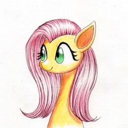 Size: 700x700 | Tagged: safe, artist:unousaya, fluttershy, pegasus, pony, bust, portrait, simple background, solo, traditional art
