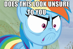 Size: 497x333 | Tagged: safe, derpibooru import, screencap, rainbow dash, pegasus, pony, tanks for the memories, angry, caption, do i look angry, do i look happy, just one bite, meme, solo, spongebob squarepants